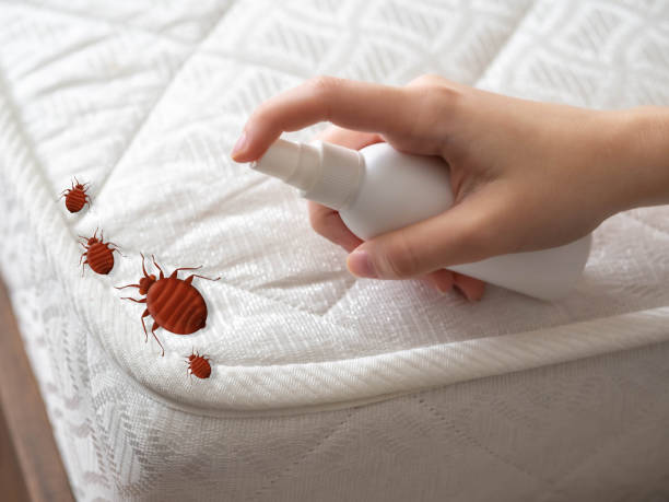 Best Residential Pest Control  in Johnstown, PA